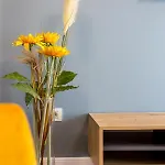Central Beach Apartment